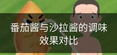 番茄酱与沙拉酱的调味效果对比